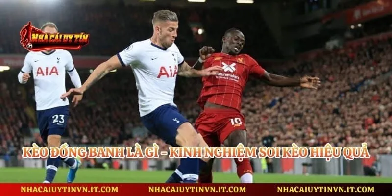 Kèo Đồng Banh Là Gì - Kinh Nghiệm Soi Kèo Hiệu Quả
