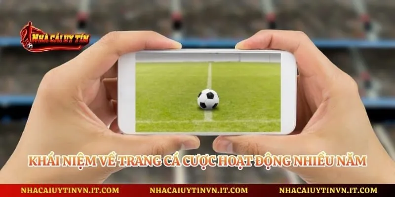 Khái niệm về trang cá cược hoạt động nhiều năm