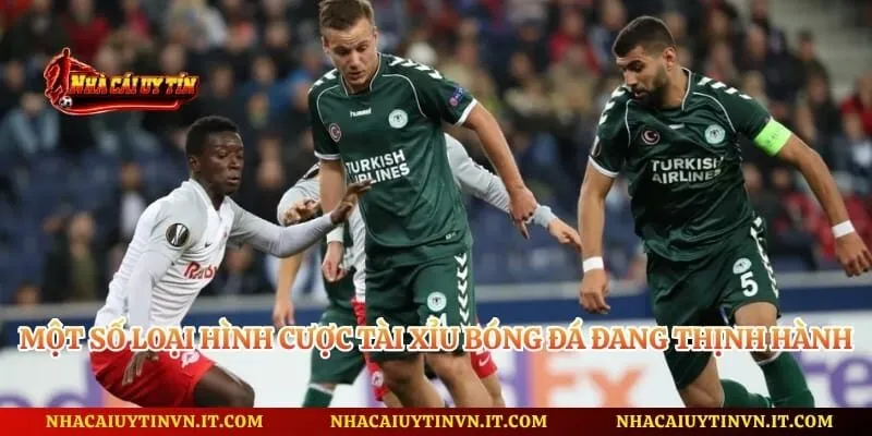 Một số loại hình cược tài xỉu bóng đá đang thịnh hành