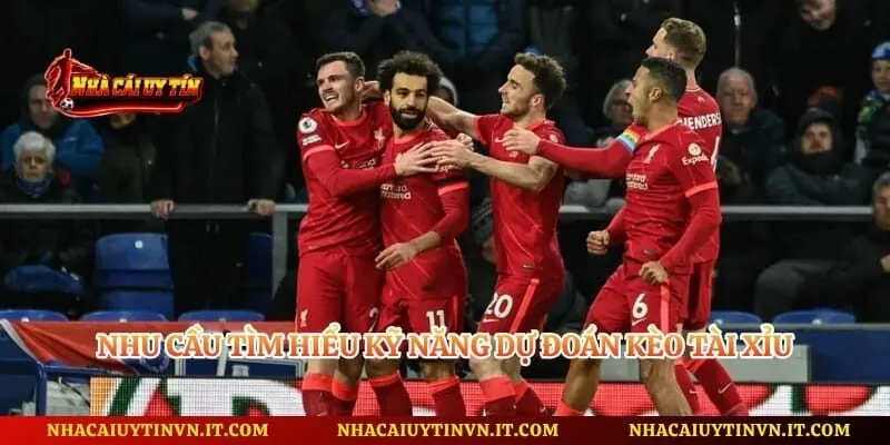 Nhu cầu tìm hiểu kỹ năng dự đoán kèo tài xỉu