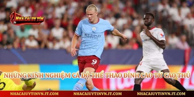 Những kinh nghiệm cá độ thể thao đỉnh cao từ cao thủ