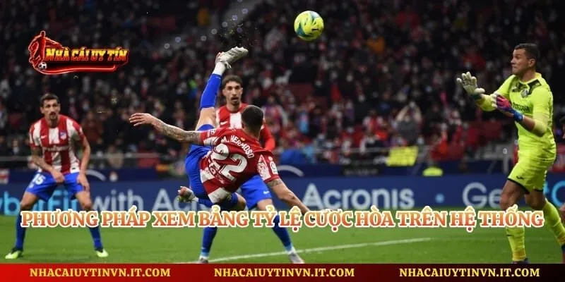 Phương pháp xem bảng tỷ lệ cược hòa trên hệ thống