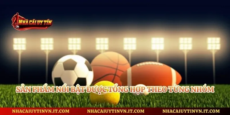 Sản phẩm nổi bật được tổng hợp theo từng nhóm