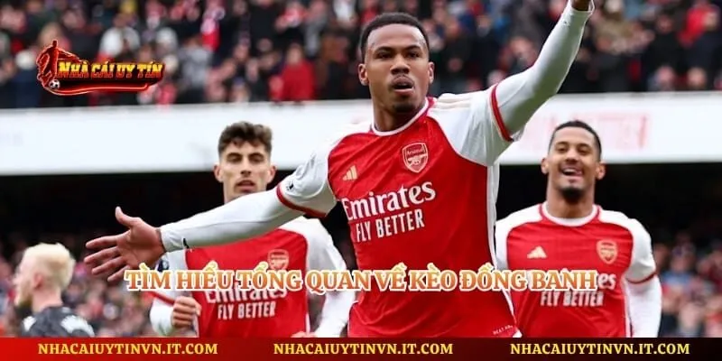 Tìm hiểu tổng quan về kèo đồng banh