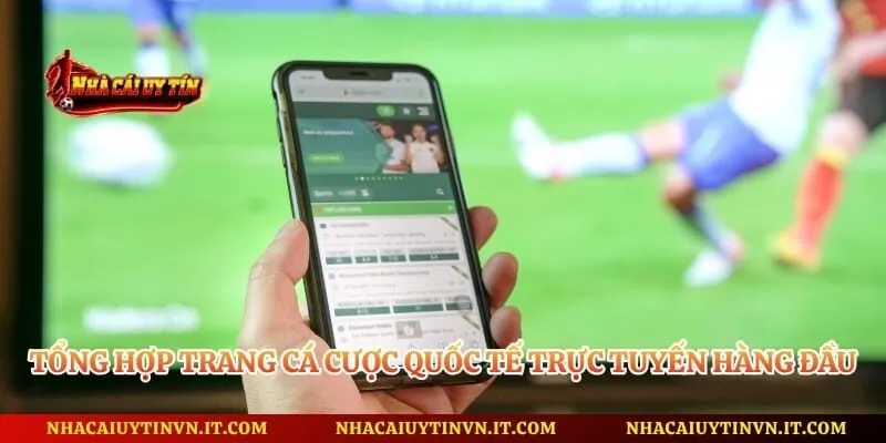 Tổng hợp trang cá cược quốc tế trực tuyến hàng đầu