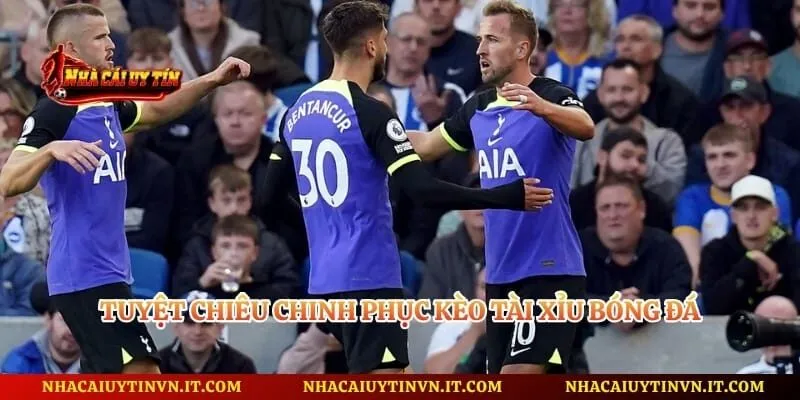 Tuyệt chiêu chinh phục kèo tài xỉu bóng đá